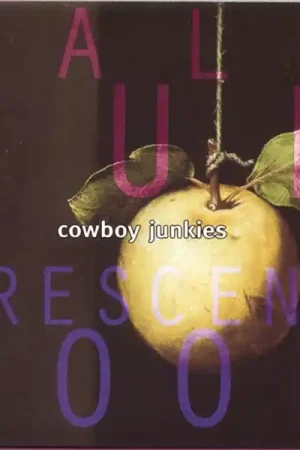 Cowboy Junkies - Pale Sun Crescent Moon (2 LPs) Sale