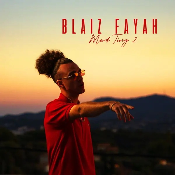 Blaiz Fayah - Mad Ting 2 (LP) Cheap