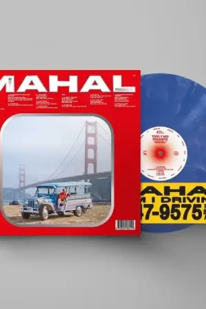 Direct From Manufacturer Toro Y Moi - Mahal (LP)