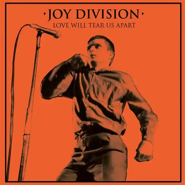 Best Seller Joy Division - Love Will Tear Us Apart (Single)