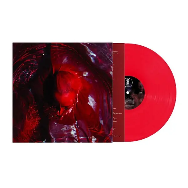 Blackwater Holylight - Not Here Not Gone (LP) Weekend Sale