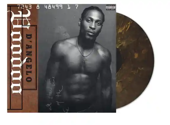 D'angelo - Voodoo (Limited) (2 LPs) Secure Checkout