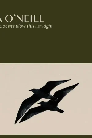 Discount Lisa O'Neill - The Wind Doesn't Blow This Far Right (Single)