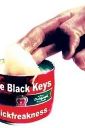 Fan Favorite Black Keys - Thickfreakness (LP)