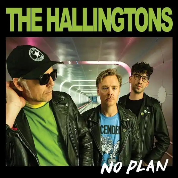 Trending Hallingtons - No Plan (LP)