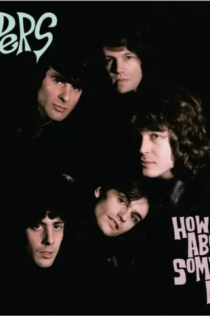 Vipers - How About Some More (LP) Get Yours
