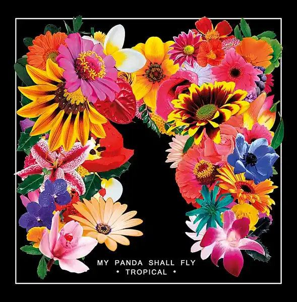 My Panda Shall Fly - Tropical (LP) Luxury