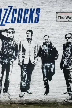 Top Rated Buzzcocks - Way (2 LPs)