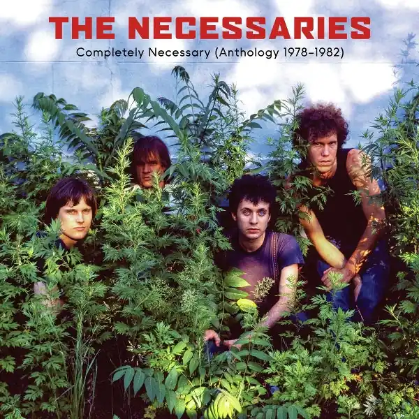 Necessaries - Completely Necessary (Anthology 1978-1982) (3 LPs) Bargain