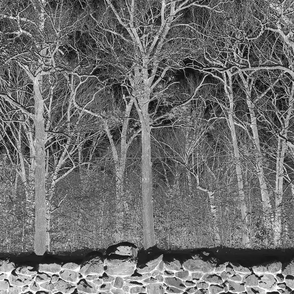 Price Drop Pile - Sunshine and Balance Beams (LP)