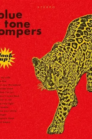 Blue Tone Stompers - Look Up (LP) Last Chance