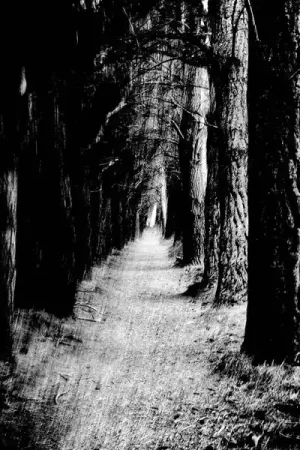 Stray Theories - Falter (LP) Price Drop