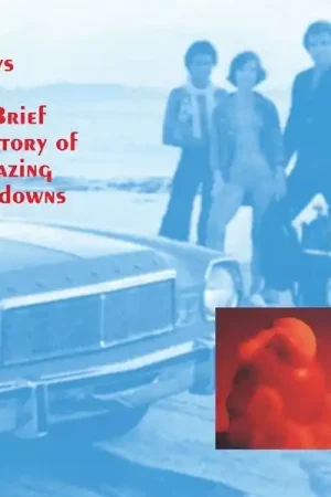 Lilys - A Brief History of Amazing Letdowns (LP) Best Seller