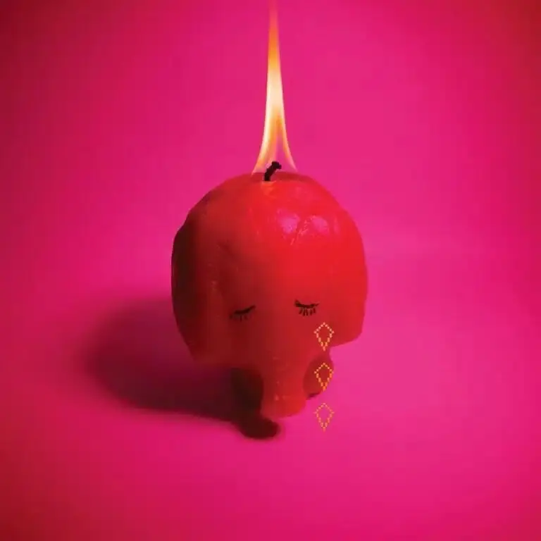 Arcade Fire - Pink Elephant (LP) Special Discount