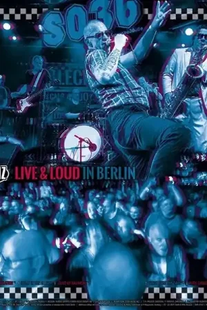 Hassle-Free Returns Blechreiz - Live & Loud In Berlin (LP)