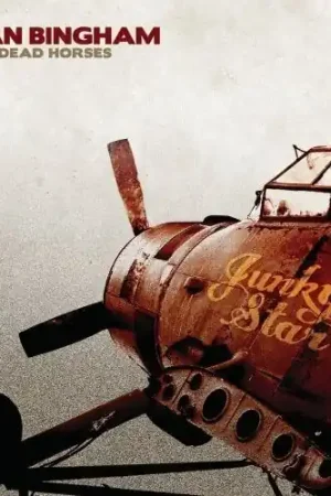 Place Order Ryan Bingham - Junky Star (2 LPs)