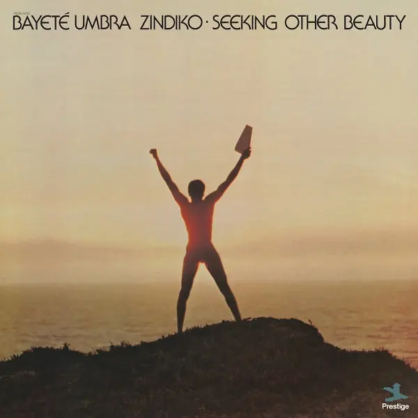 Bayete Umbra Zindiko - Seeking Other Beauty (LP) Markdown