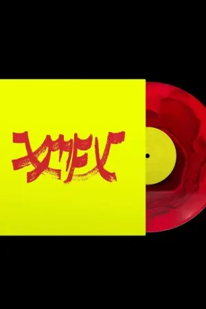 Special Offer Animl - Unioness (LP)