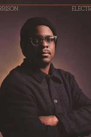 Today Only DJ Harrison - Electrosoul (LP)
