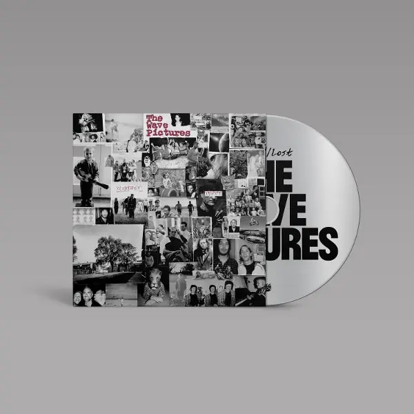 Hot Picks Wave Pictures - Gained/Lost (LP)