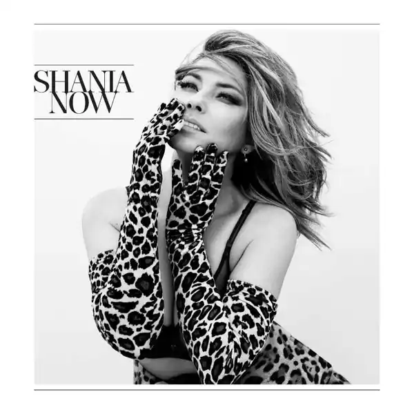 Shania Twain - Now (LP) Best Choice