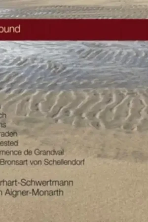 Get Yours ERHART-SCHWERTMANN,URSULA - LOST & FOUND (Music CD)