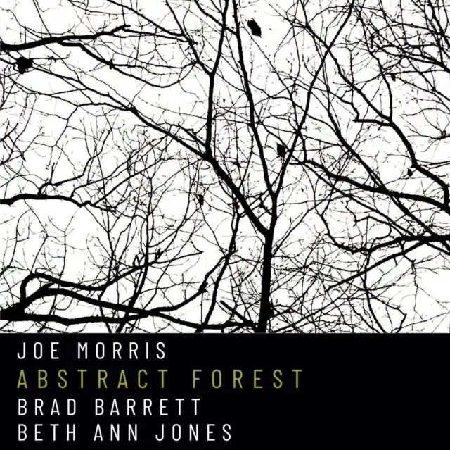 MORRIS,JOE - ABSTRACT FOREST (Music CD) Limited Offer