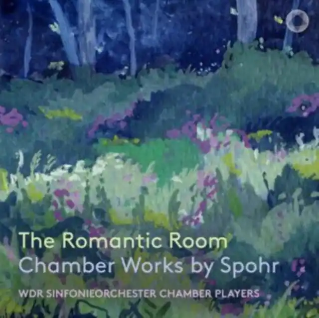 WDR SINFONIEORCHESTER CHAMBER PLAYERS - ROMANTIC ROOM - CHAMBER WORKS BY SPOHR (6CD) (Music CD) Mega Sale