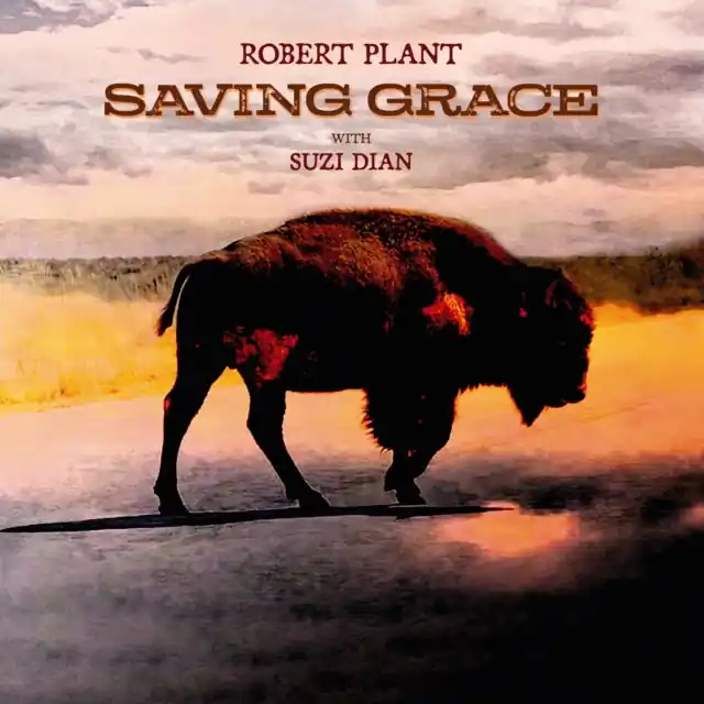 PLANT,ROBERT - SAVING GRACE (Music CD) Don’t Miss Out